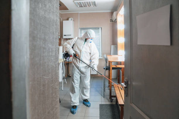 Best Air Quality Testing for Mold Spores  in Breckenridge, MI