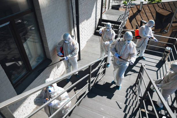 Reliable Breckenridge, MI Mold Removal Solutions