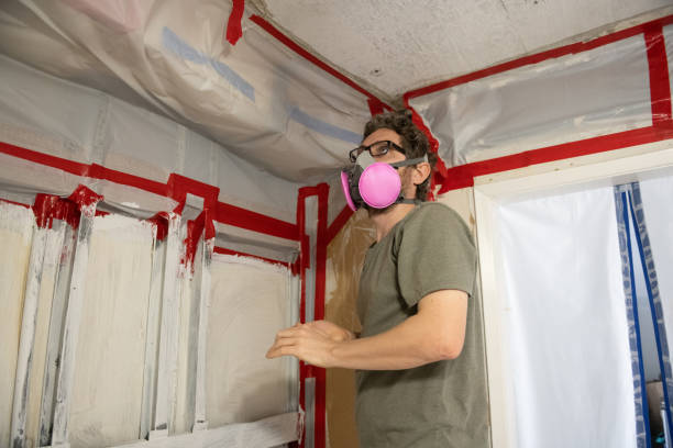 Best Forensic Mold Investigation  in Breckenridge, MI