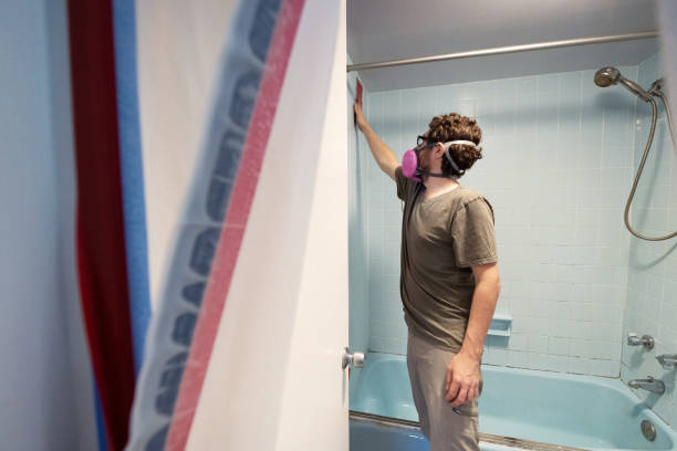 Best Emergency Mold Remediation  in Breckenridge, MI