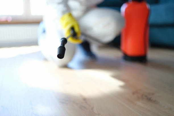 Best Residential Mold Inspection & Testing  in Breckenridge, MI