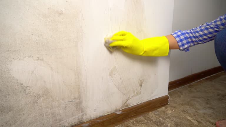 Best Real Estate Mold Inspection  in Breckenridge, MI