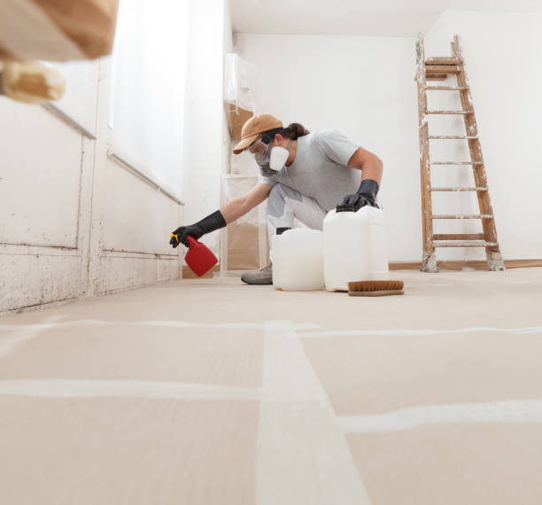 Best Commercial Mold Inspection  in Breckenridge, MI