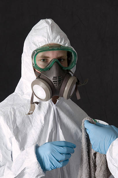Best Water Damage & Mold Remediation  in Breckenridge, MI
